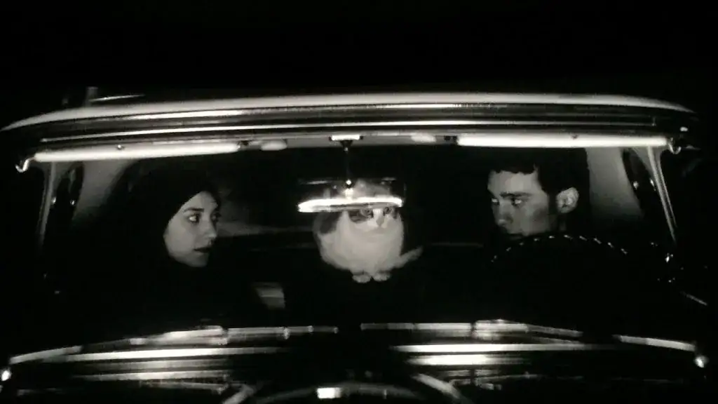A Girl Walks Home Alone at Night - Atmosphérique Impressionnant