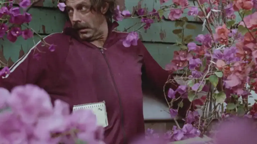 Bonheur - Critique de Bliss (1985)