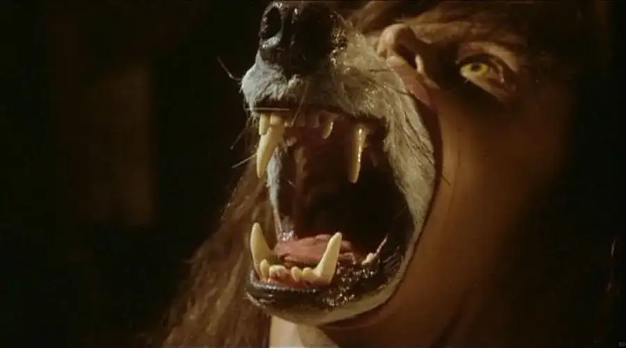 Películas de los 80 que no se vieron y que están subestimadas - La compañía de los lobos (1984)