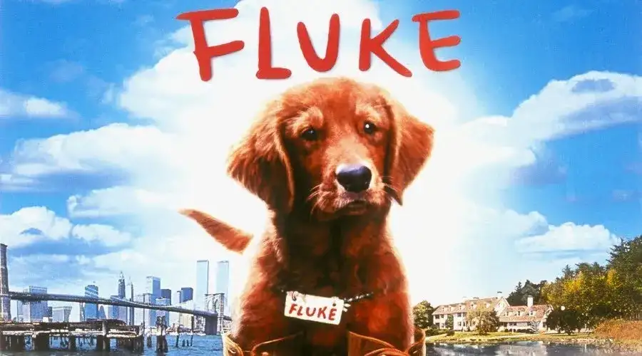 Best 90s Films: Underrated and Underseen Sci-Fi, Horror, and Fantasy - Fluke (1995)