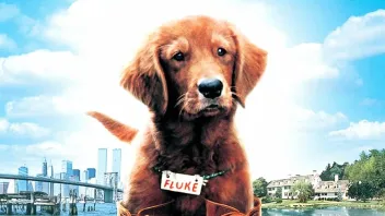 Fluke (1995) Poster