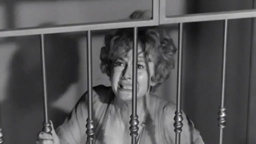 The 10 Best ‘Hagsploitation’ Films - Lady in a Cage (1964)