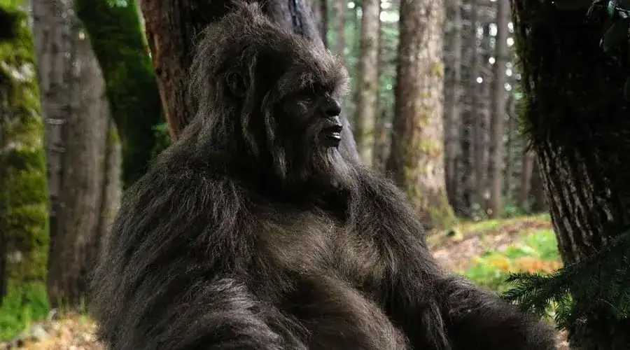 Letters from the Big Man - Critique de Letters From the Big Man (2011)