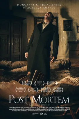 Post Mortem