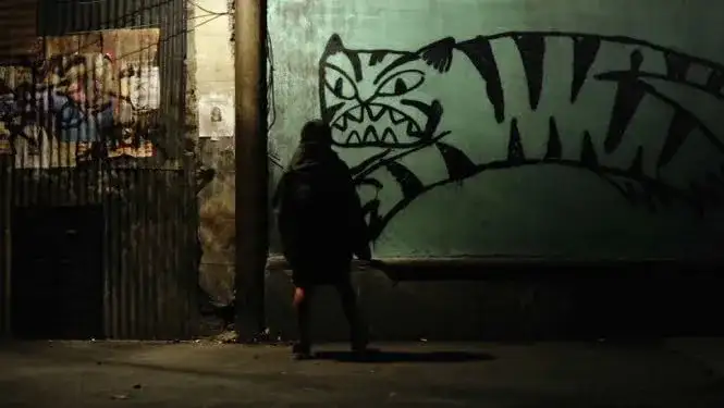 tigers not afraid 2017